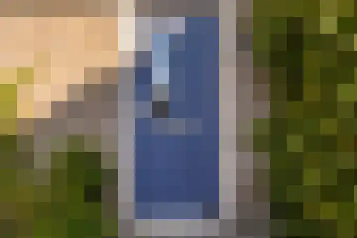 Maagdepalm 33 Leeuwarden thumbnail 6