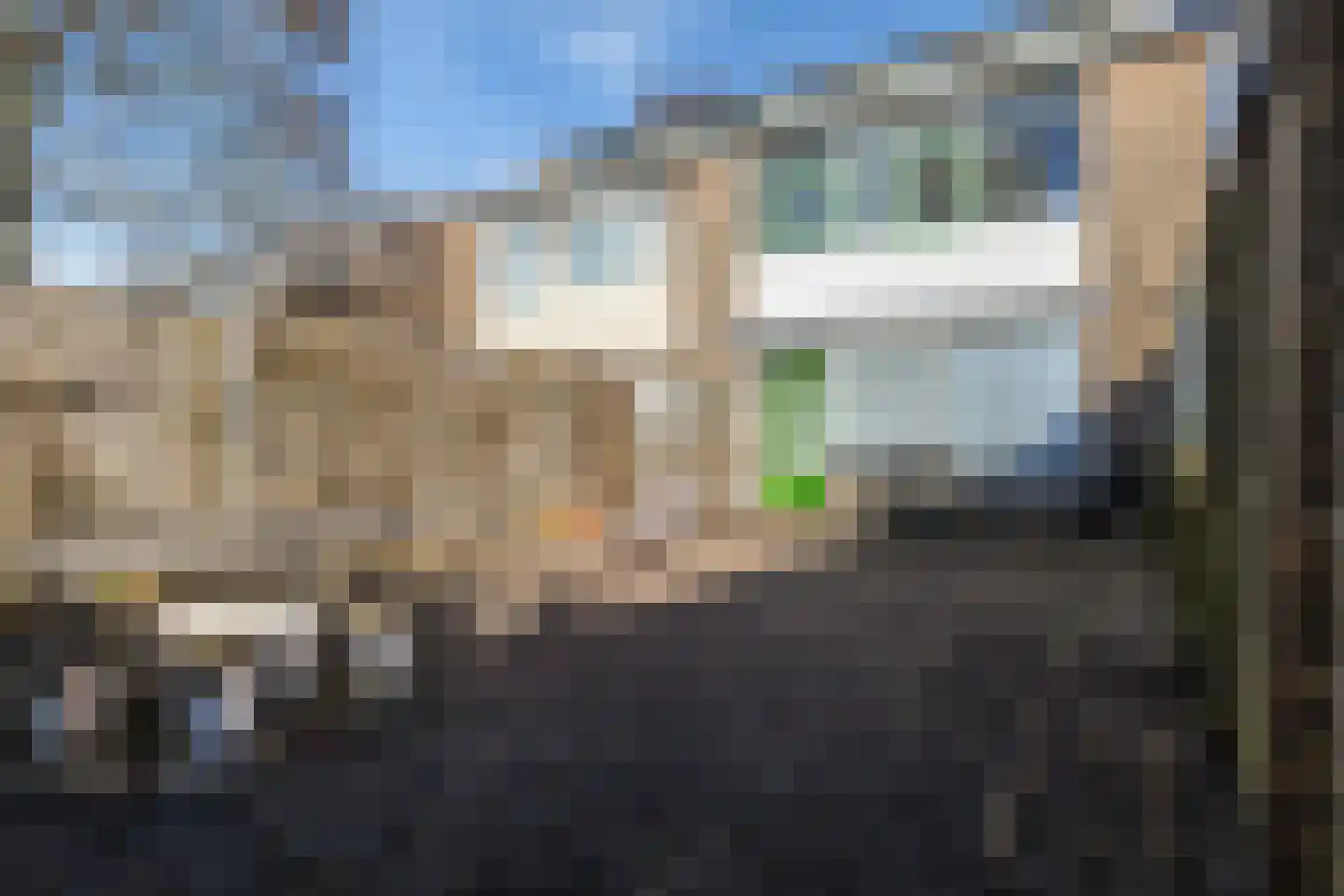 Maagdepalm 4 Leeuwarden thumbnail 34