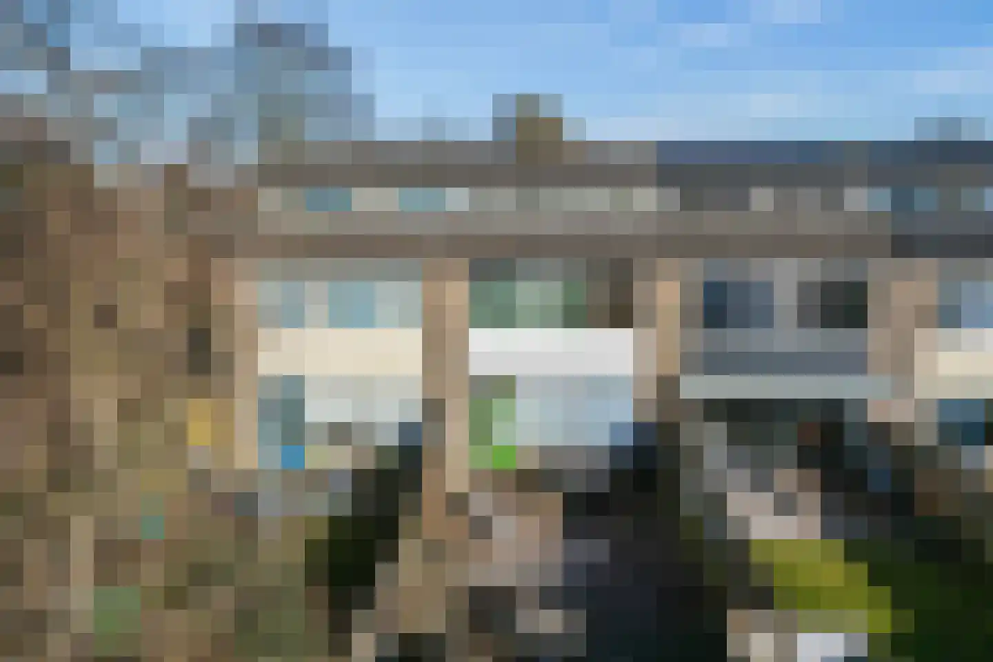 Maagdepalm 4 Leeuwarden thumbnail 36