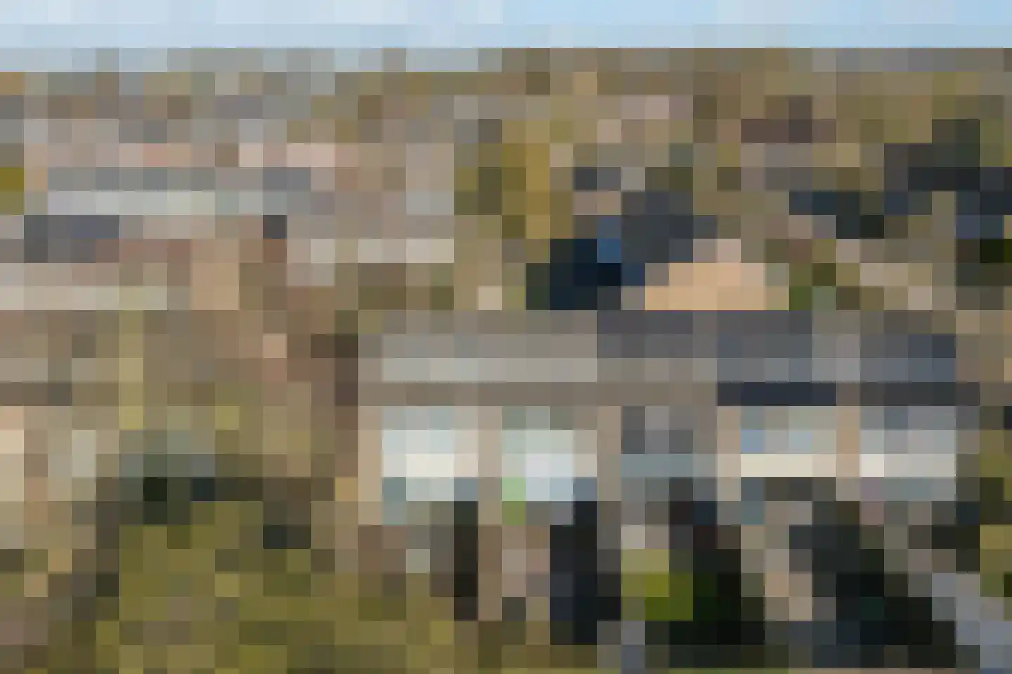Maagdepalm 4 Leeuwarden thumbnail 37