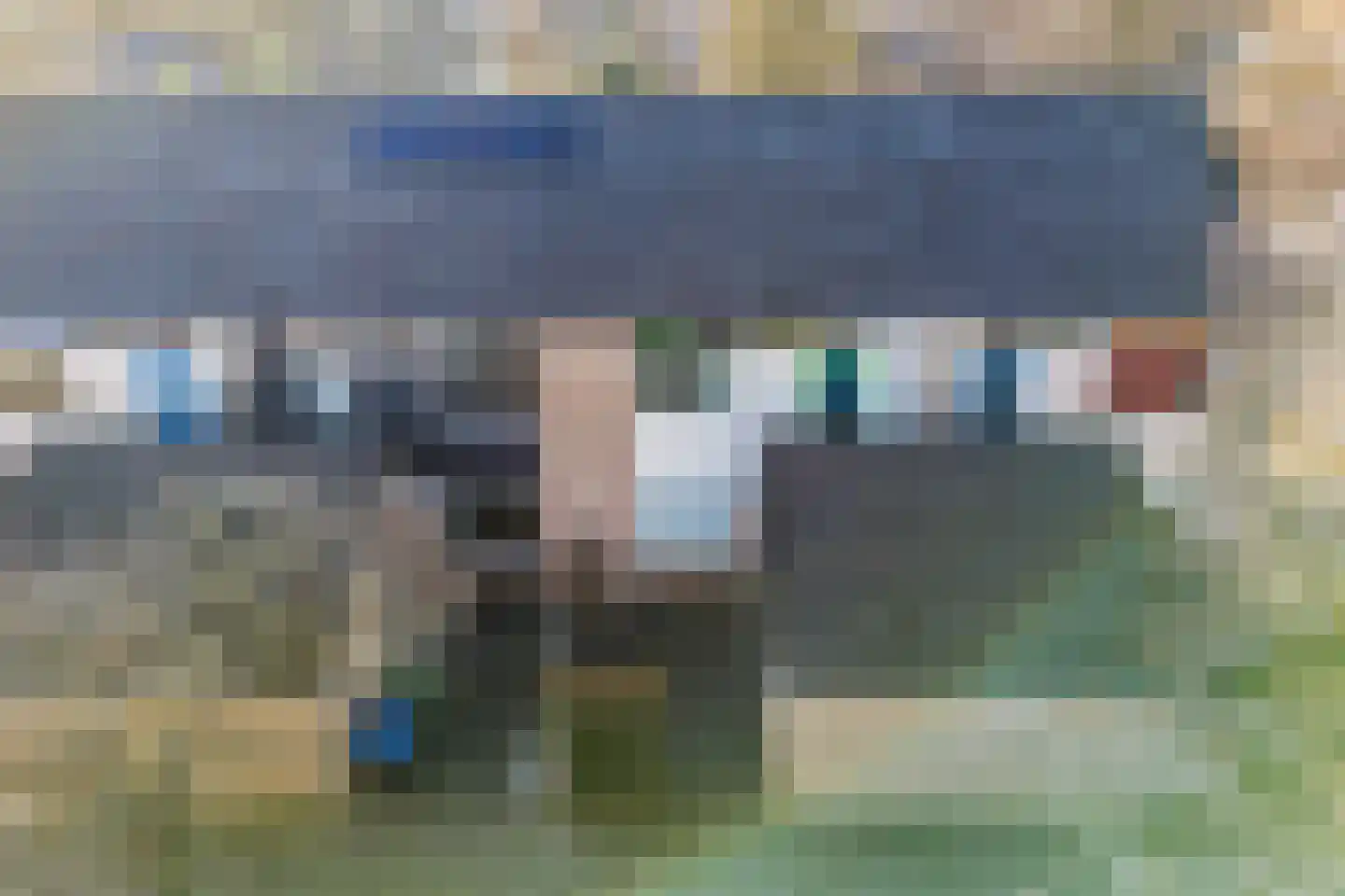 Maagdepalm 4 Leeuwarden thumbnail 5
