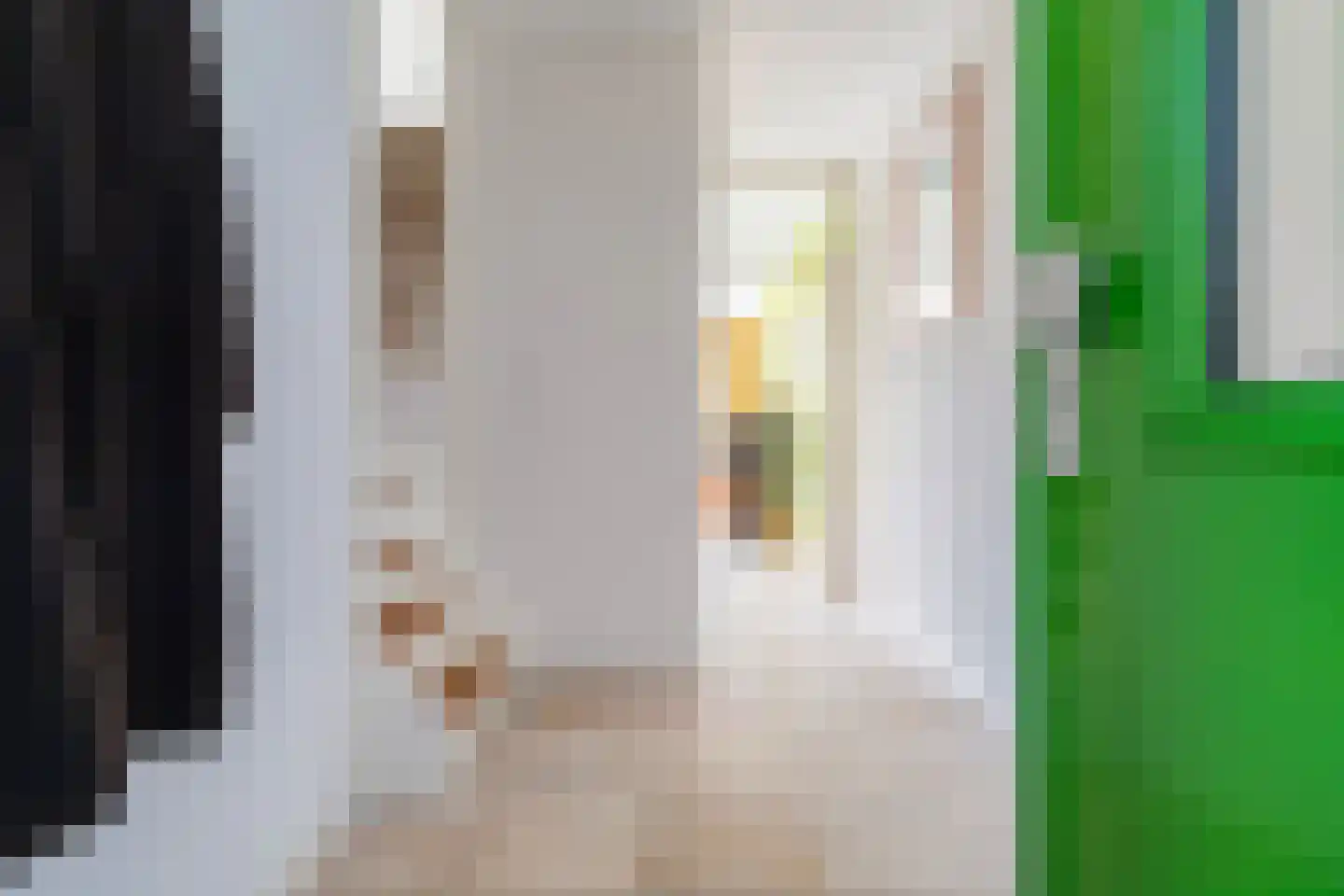 Maagdepalm 4 Leeuwarden thumbnail 9