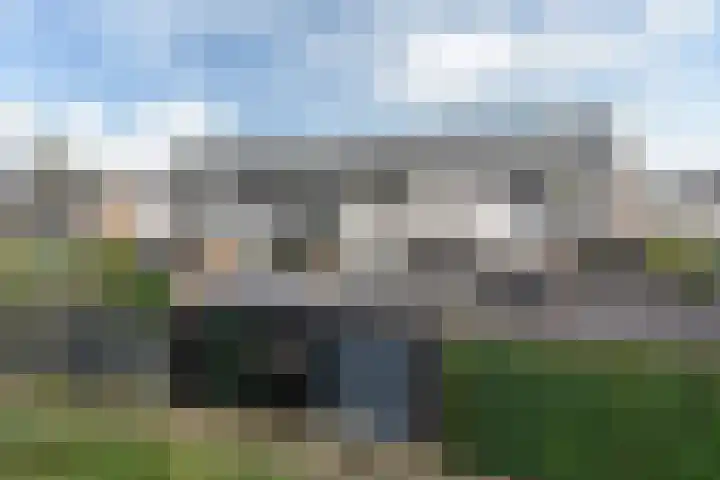 Maagdepalm 45 Leeuwarden thumbnail 20