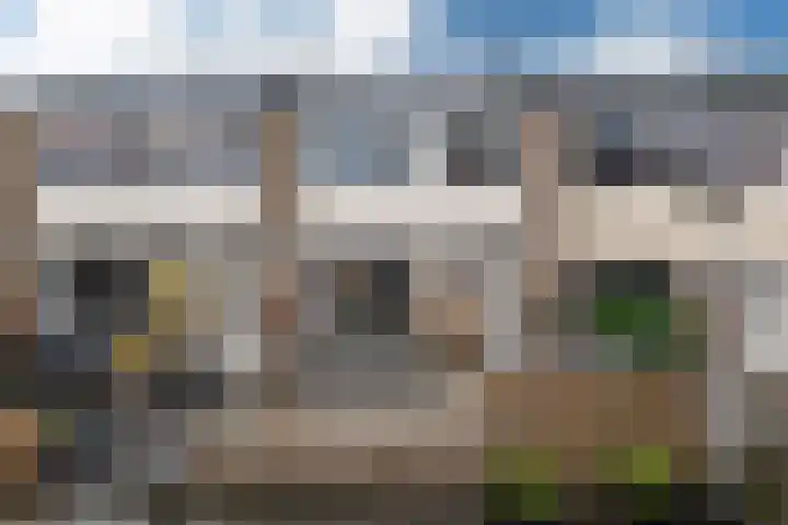 Maagdepalm 45 Leeuwarden thumbnail 42