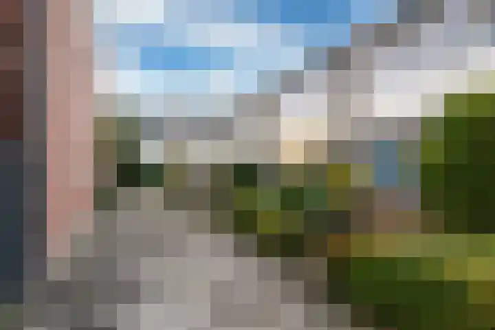 Maagdepalm 45 Leeuwarden thumbnail 43