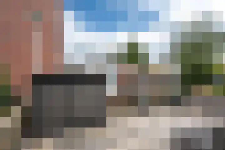 Maagdepalm 45 Leeuwarden thumbnail 44