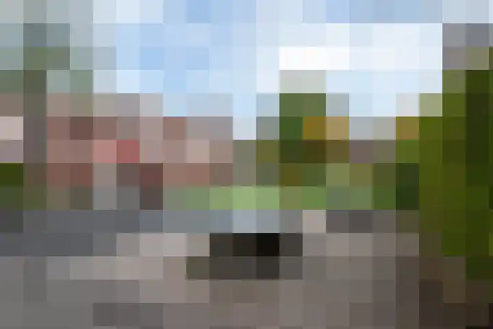 Maagdepalm 45 Leeuwarden thumbnail 47