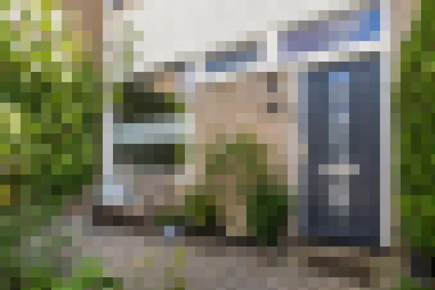 Maagdepalm 62 Leeuwarden thumbnail 10