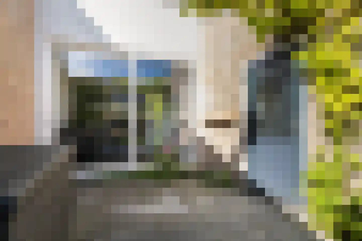 Maagdepalm 62 Leeuwarden thumbnail 20