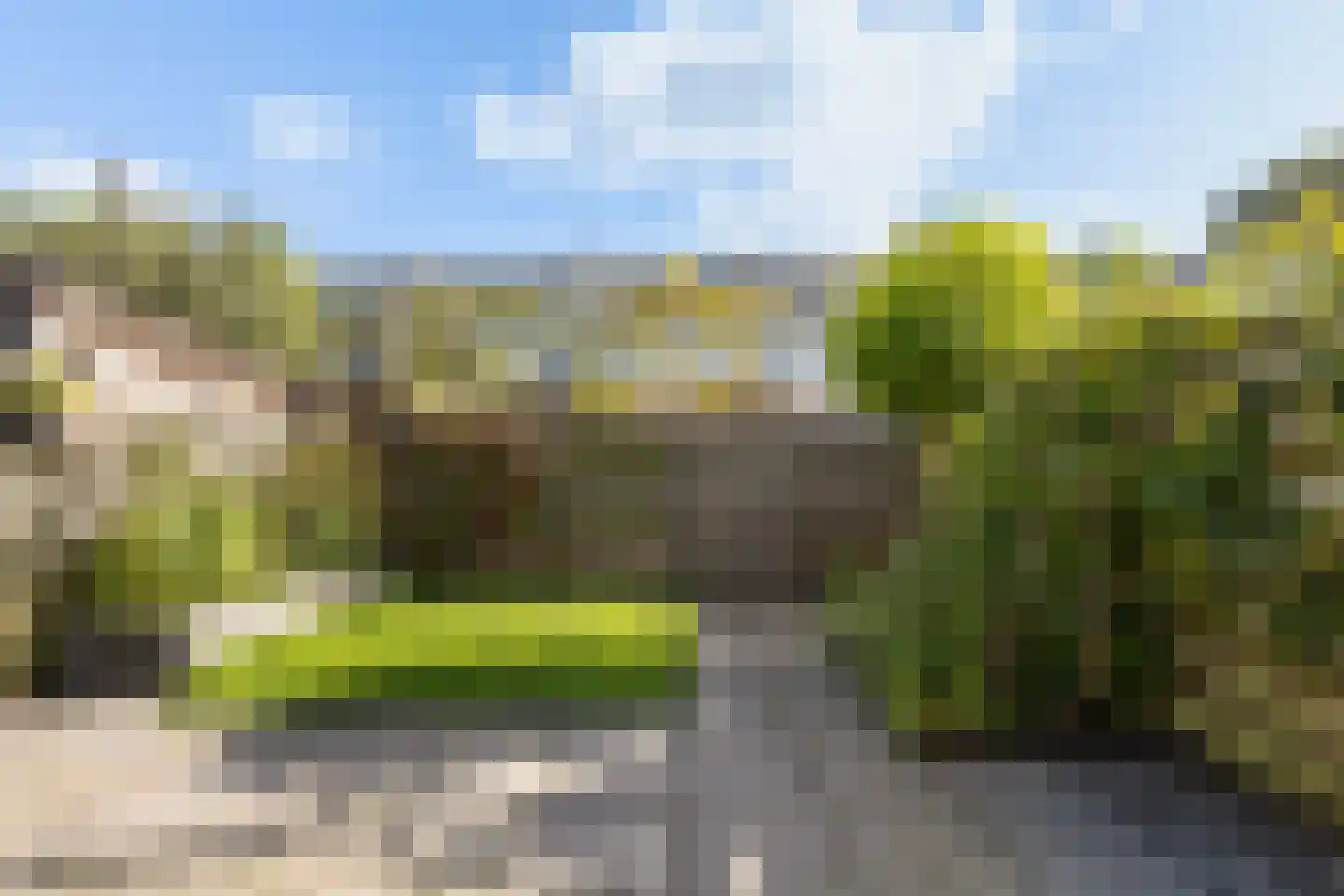 Maagdepalm 62 Leeuwarden thumbnail 21