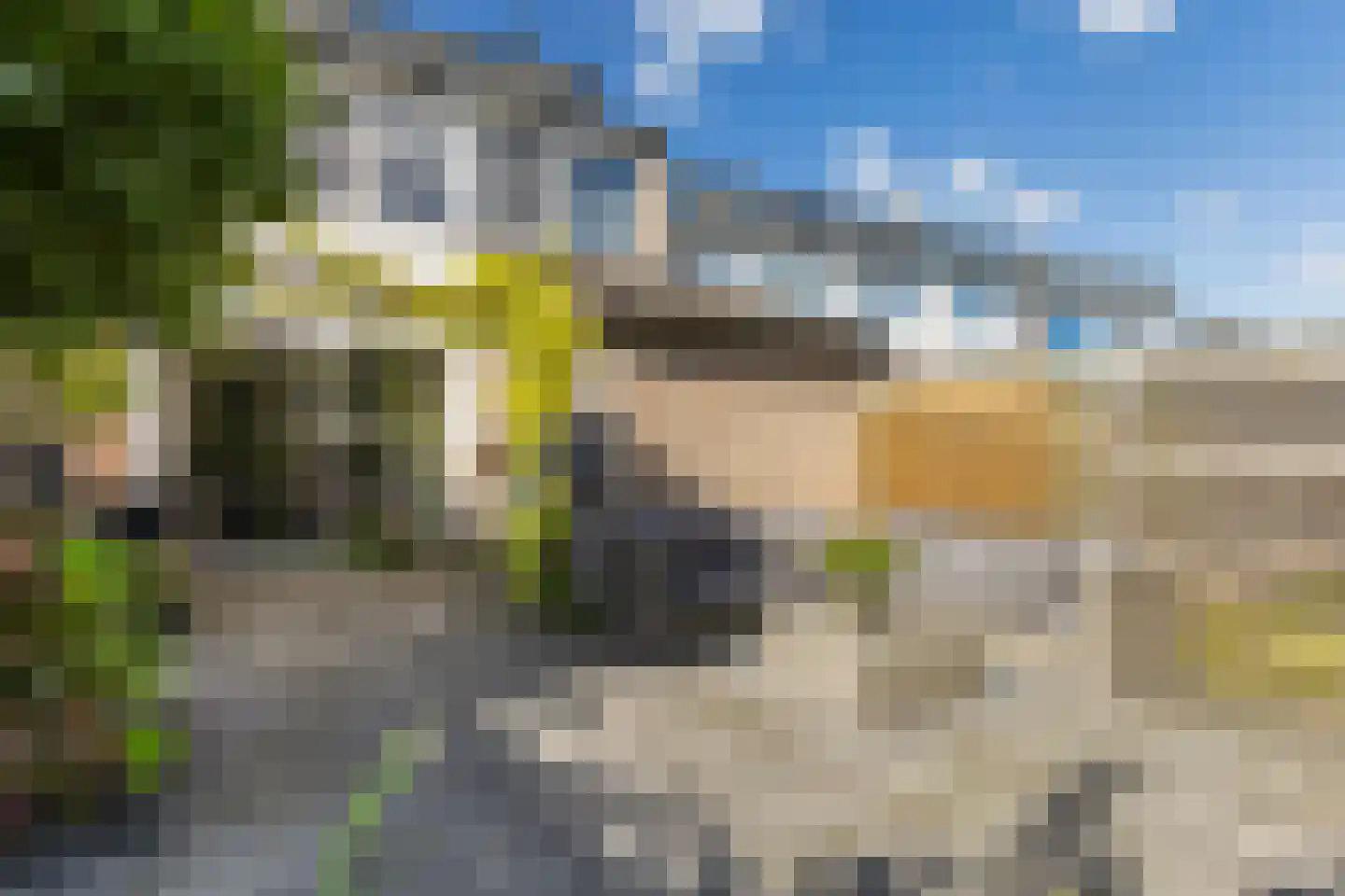 Maagdepalm 62 Leeuwarden thumbnail 22