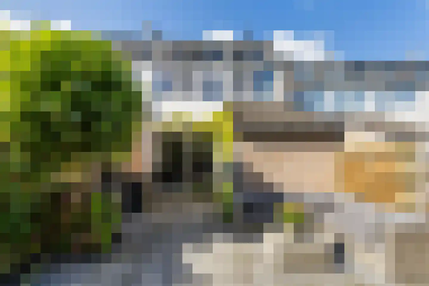 Maagdepalm 62 Leeuwarden thumbnail 23