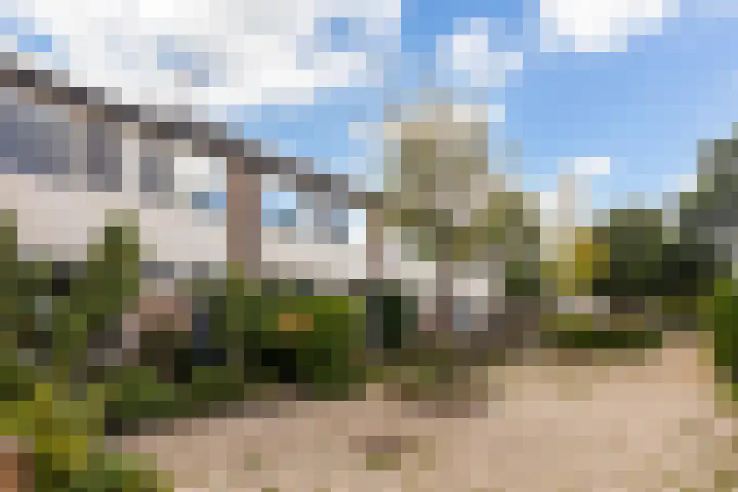 Maagdepalm 62 Leeuwarden thumbnail 42