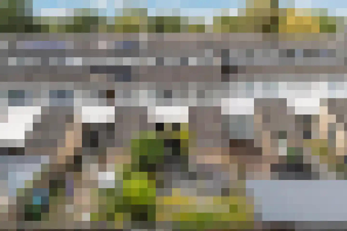 Maagdepalm 62 Leeuwarden thumbnail 43