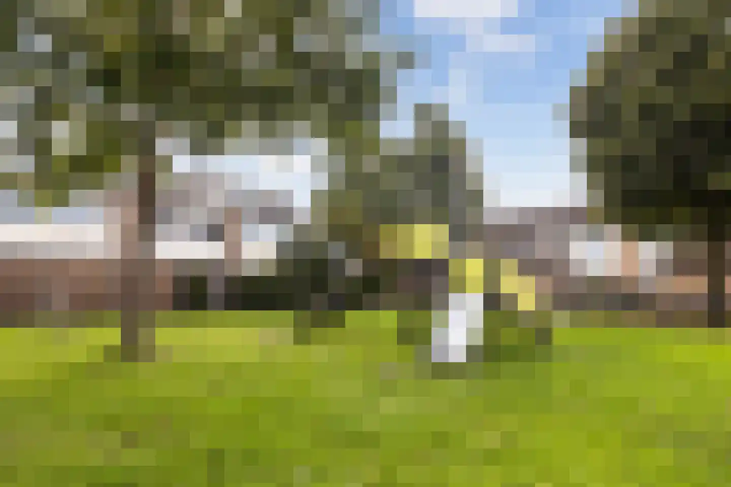 Maagdepalm 62 Leeuwarden thumbnail 47