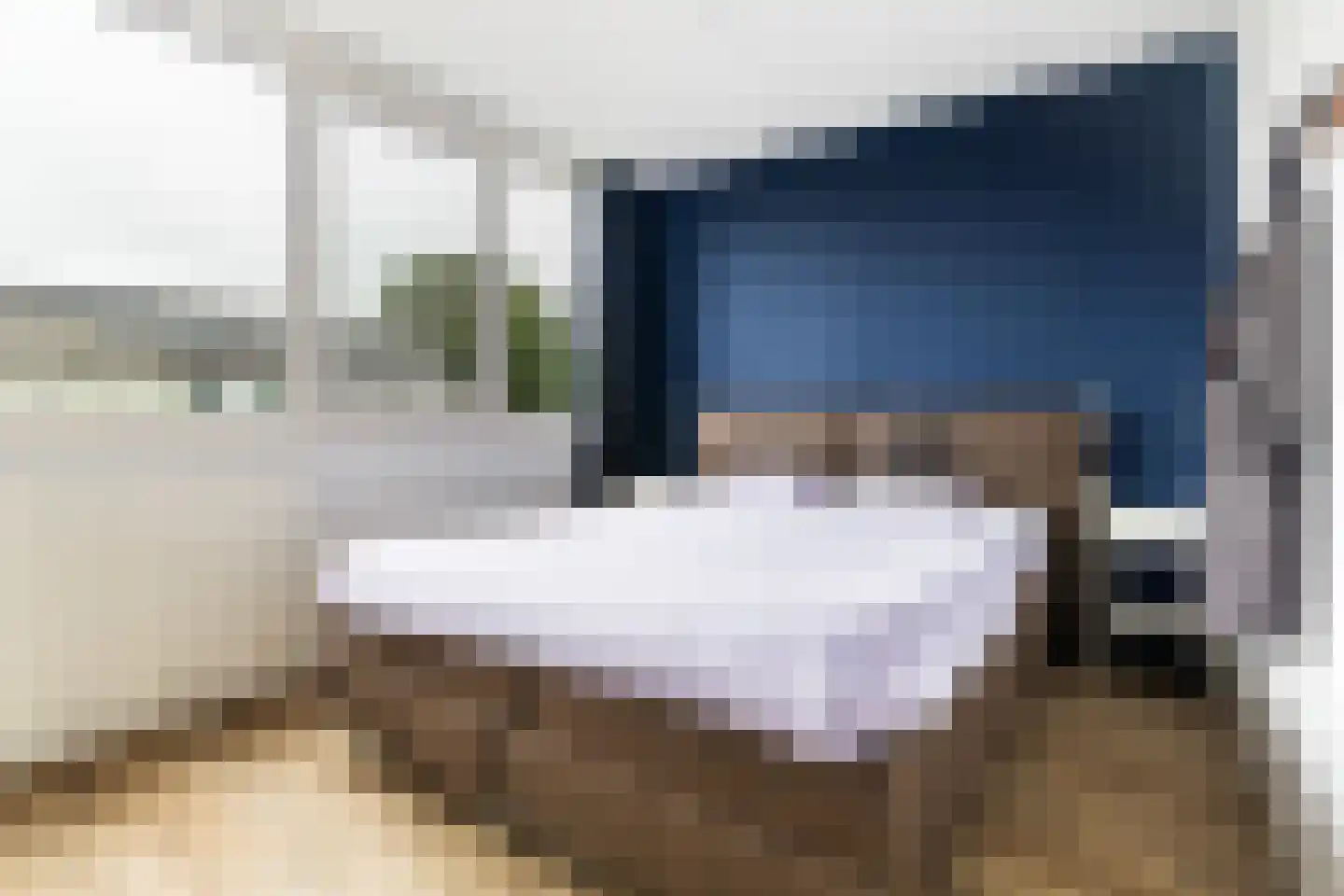 Maagdepalm 62 Leeuwarden thumbnail 6