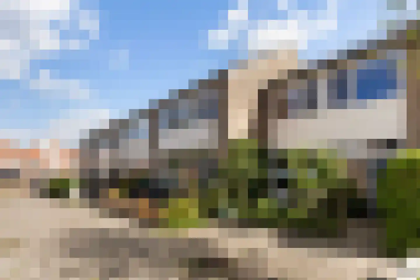 Maagdepalm 62 Leeuwarden thumbnail 7