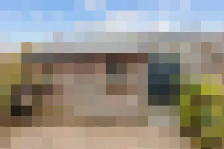 Maagdepalm 78 Leeuwarden thumbnail 27
