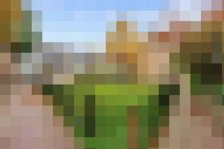 Maagdepalm 78 Leeuwarden thumbnail 30