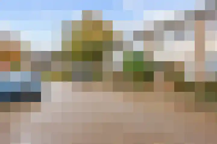 Maagdepalm 78 Leeuwarden thumbnail 32