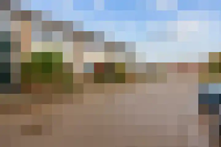 Maagdepalm 78 Leeuwarden thumbnail 33