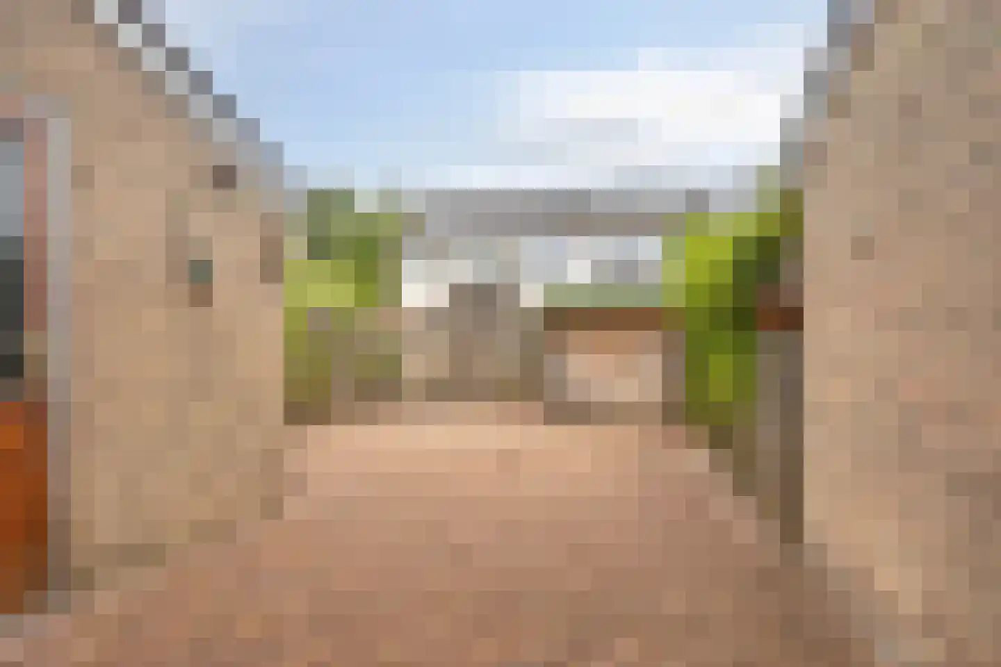 Maagdepalm 80 Leeuwarden thumbnail 32