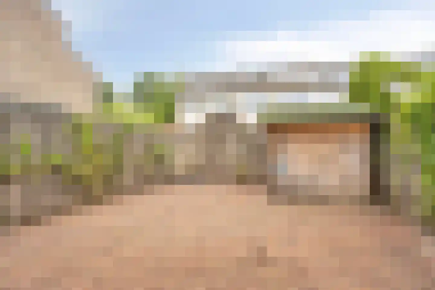 Maagdepalm 80 Leeuwarden thumbnail 33