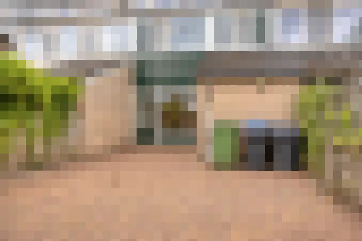 Maagdepalm 80 Leeuwarden thumbnail 35