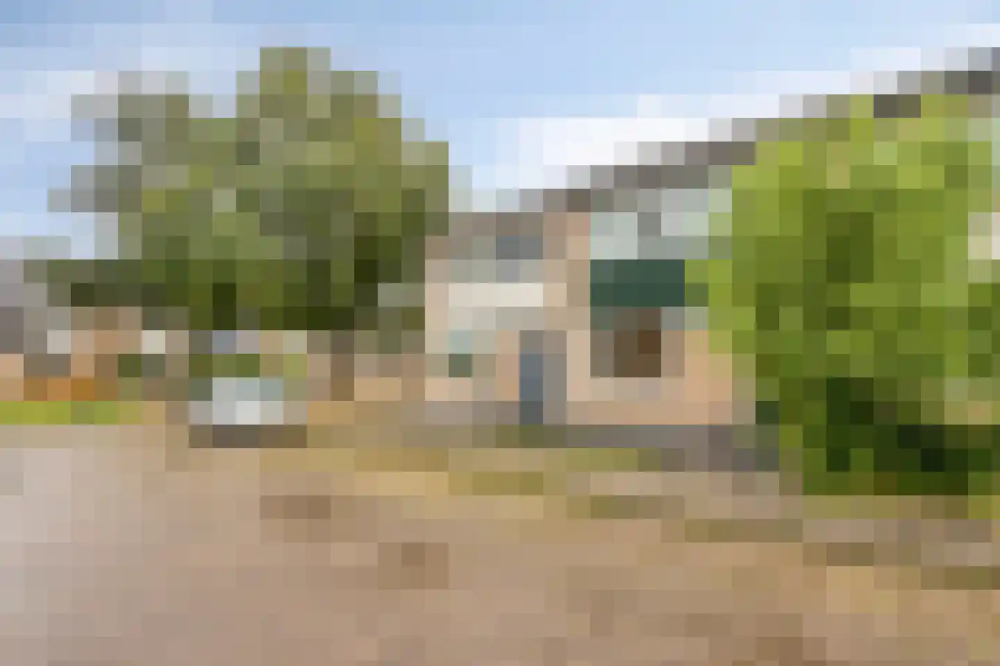 Maagdepalm 80 Leeuwarden thumbnail 37