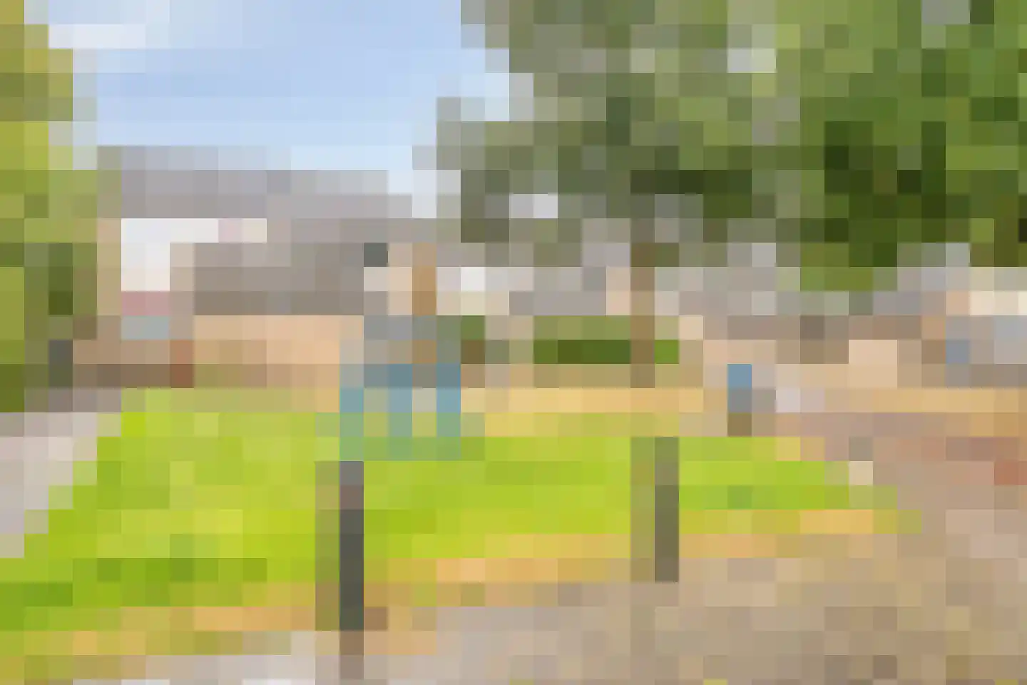 Maagdepalm 80 Leeuwarden thumbnail 38