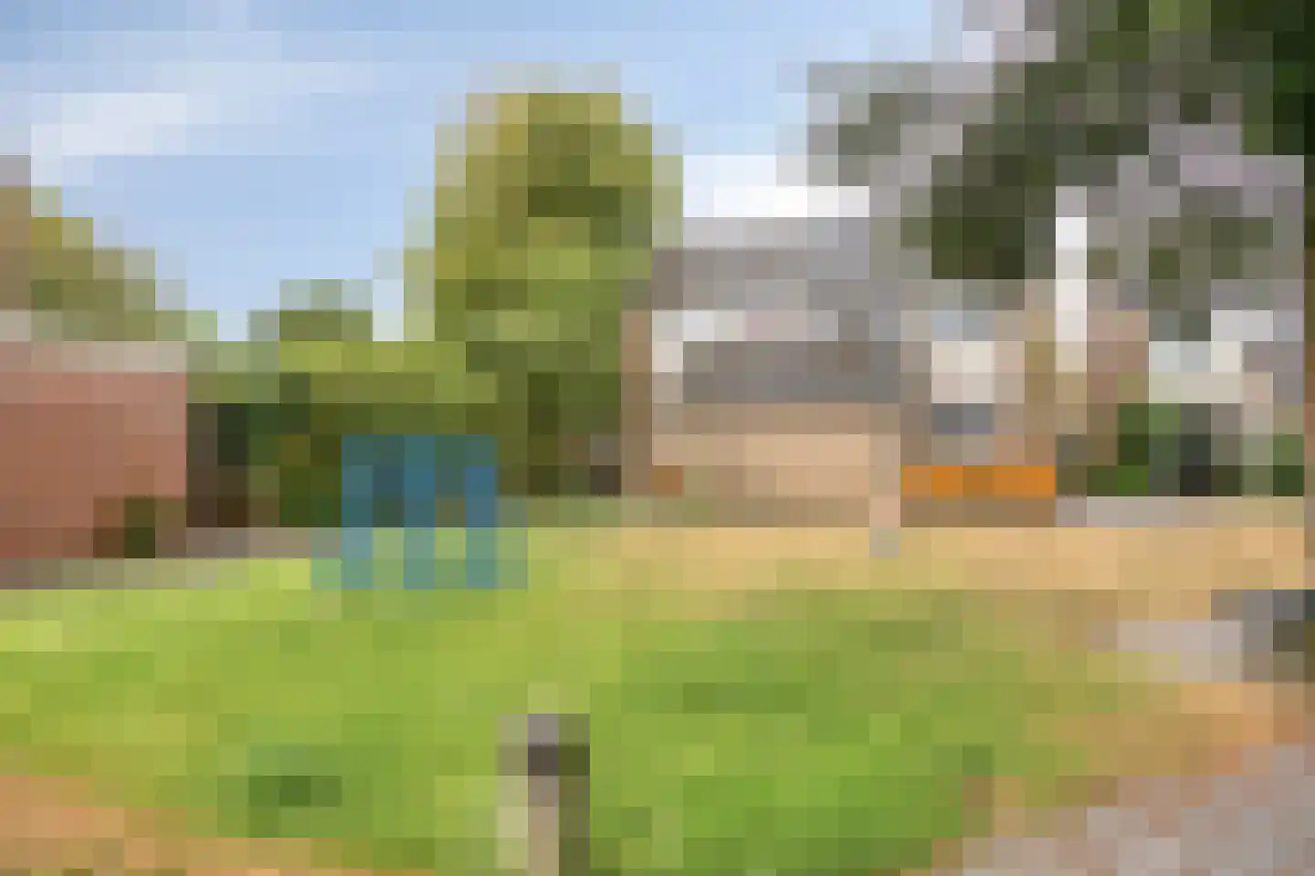 Maagdepalm 80 Leeuwarden thumbnail 39