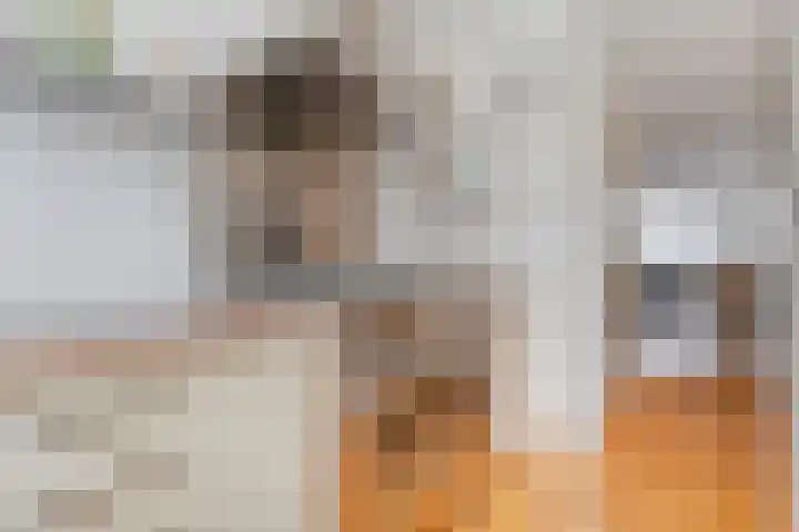 Maagjesbolwerk 33 Zwolle thumbnail 10