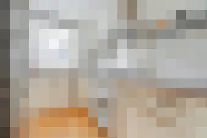 Maagjesbolwerk 33 Zwolle thumbnail 11