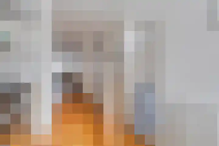 Maagjesbolwerk 33 Zwolle thumbnail 13