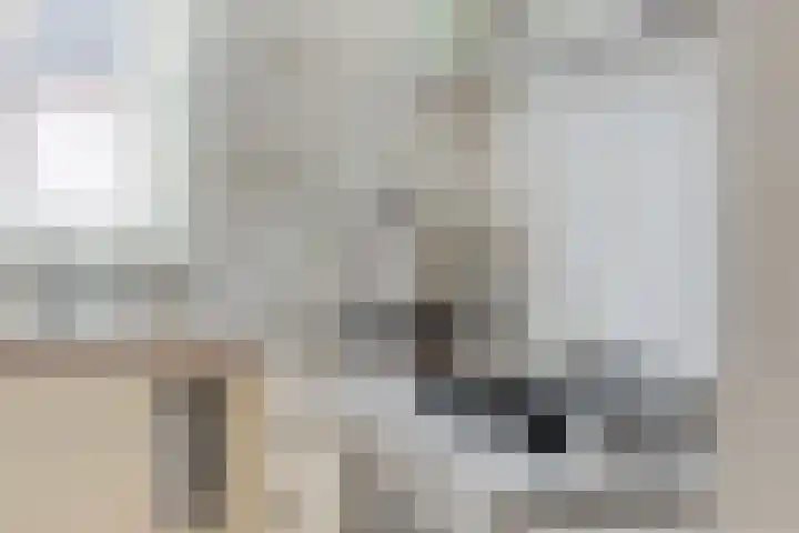 Maagjesbolwerk 33 Zwolle thumbnail 15