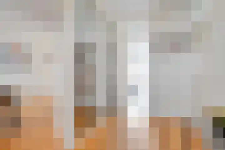 Maagjesbolwerk 33 Zwolle thumbnail 16