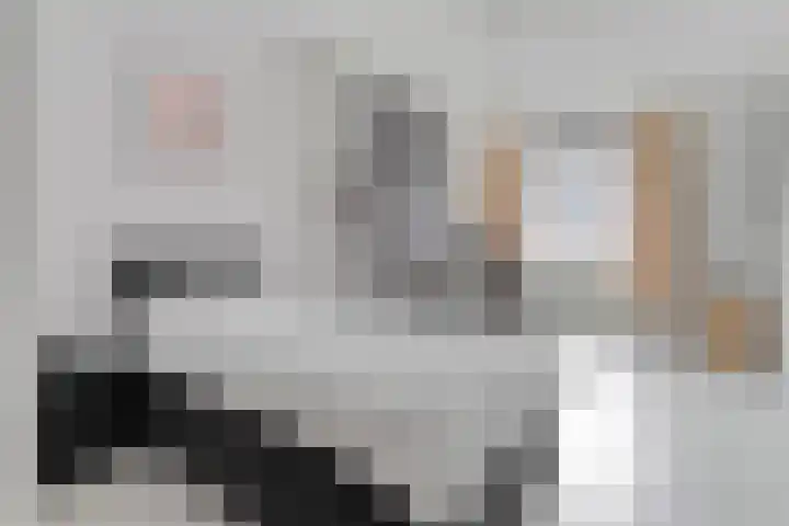 Maagjesbolwerk 33 Zwolle thumbnail 19