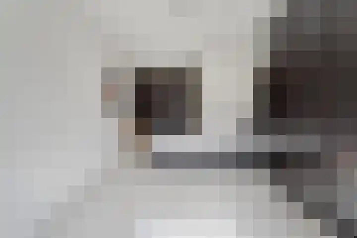 Maagjesbolwerk 33 Zwolle thumbnail 20