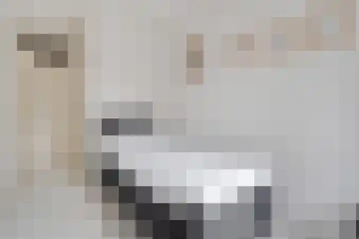 Maagjesbolwerk 33 Zwolle thumbnail 22