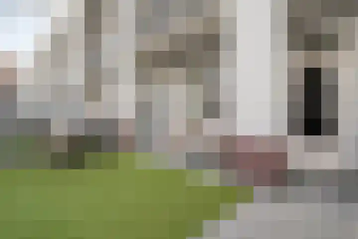 Maagjesbolwerk 33 Zwolle thumbnail 26