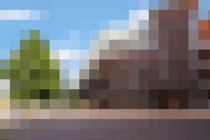 Maagjesbolwerk 33 Zwolle thumbnail 35
