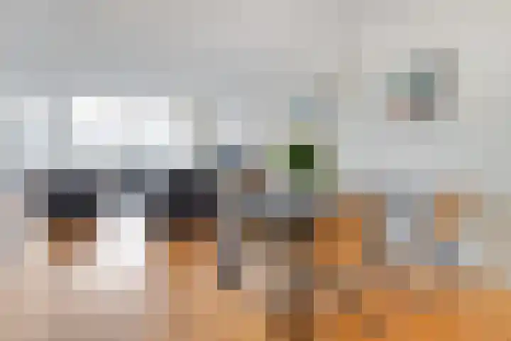 Maagjesbolwerk 33 Zwolle thumbnail 6