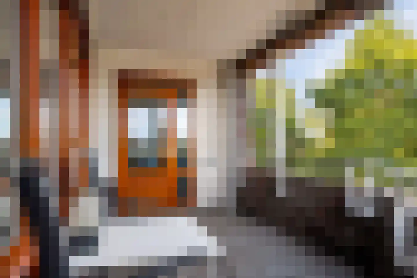 Maagjesbolwerk 59 Zwolle thumbnail 19