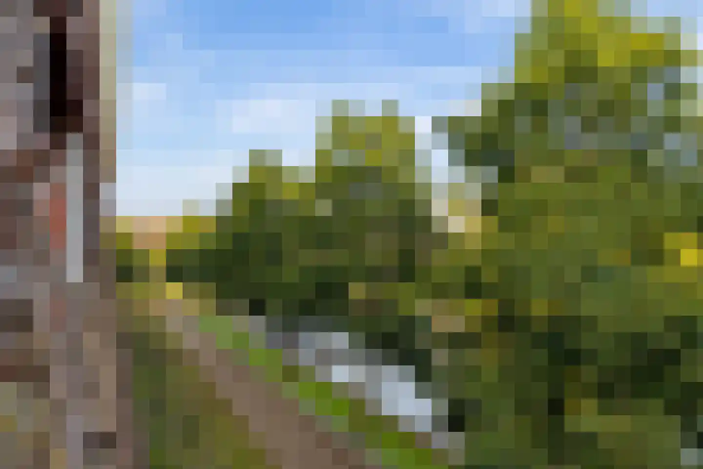Maagjesbolwerk 59 Zwolle thumbnail 21