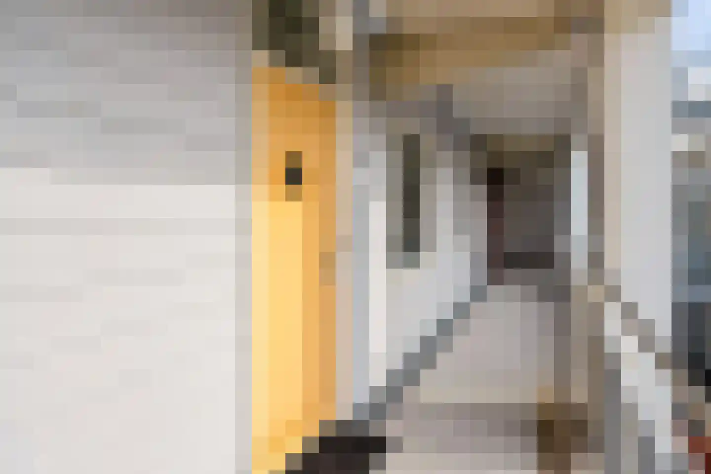 Maagjesbolwerk 59 Zwolle thumbnail 37
