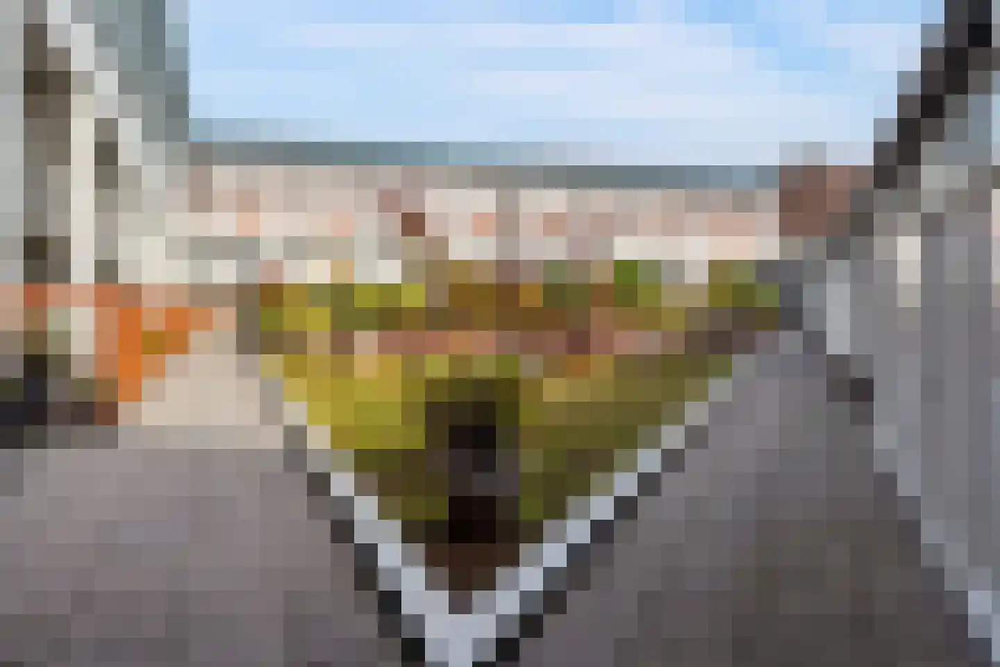 Maagjesbolwerk 59 Zwolle thumbnail 41