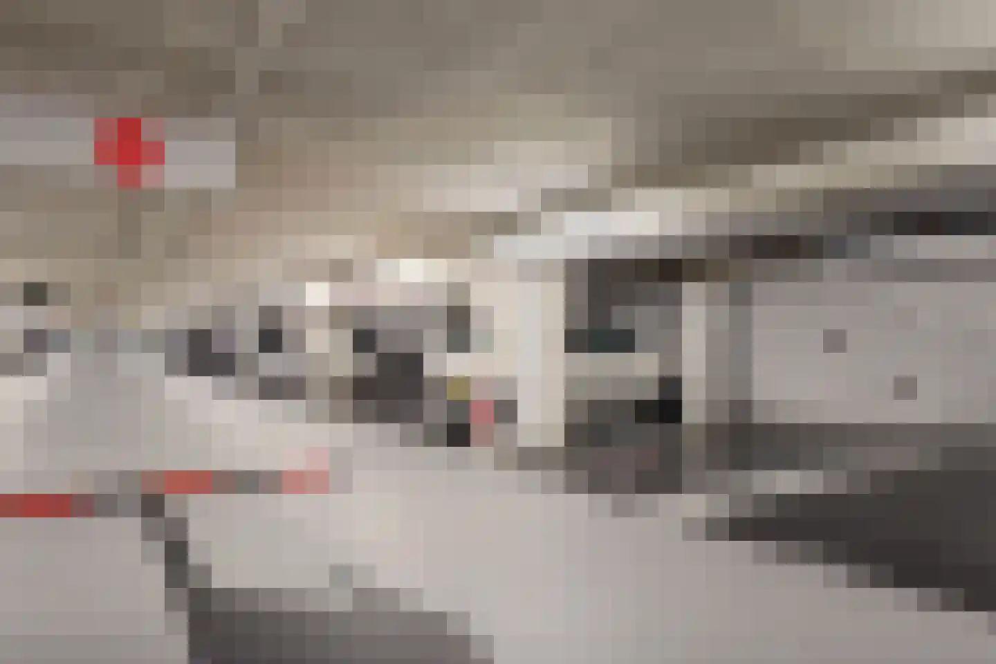 Maagjesbolwerk 59 Zwolle thumbnail 45