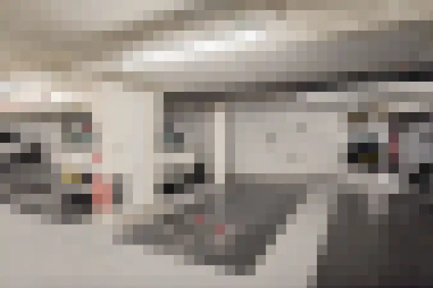 Maagjesbolwerk 59 Zwolle thumbnail 46