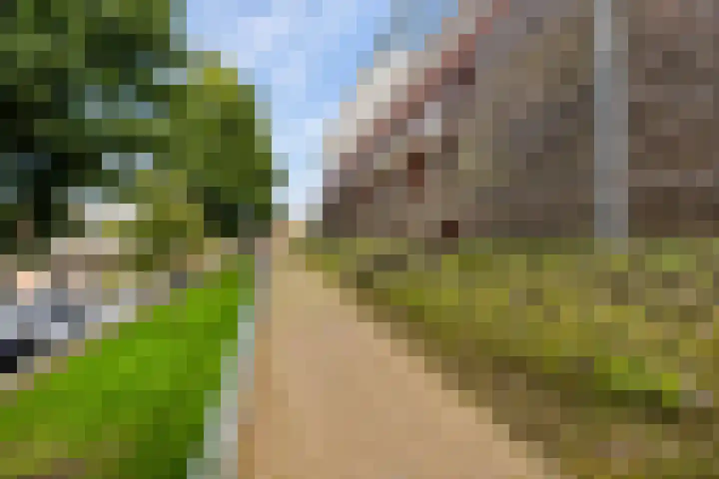 Maagjesbolwerk 59 Zwolle thumbnail 48