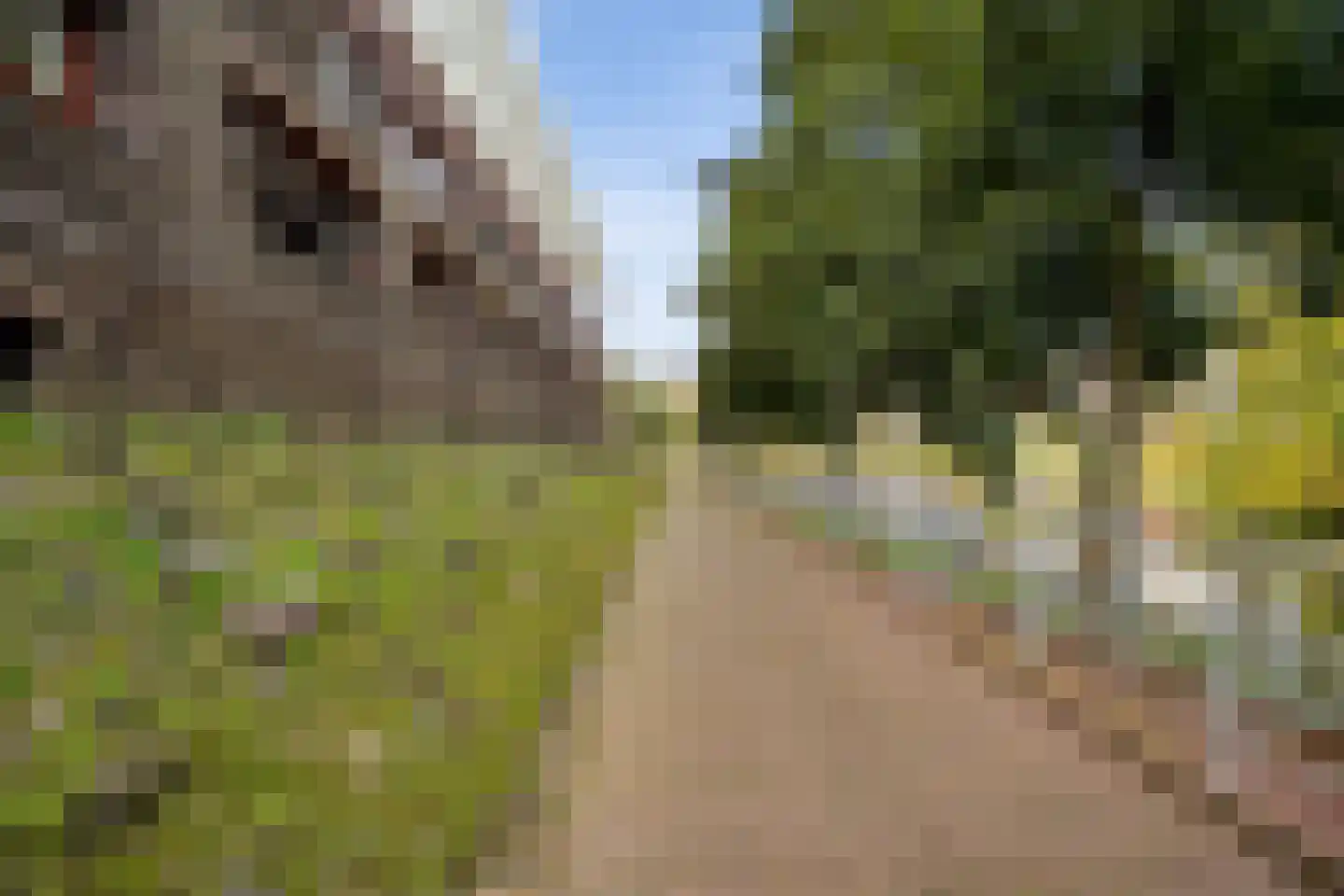 Maagjesbolwerk 59 Zwolle thumbnail 50